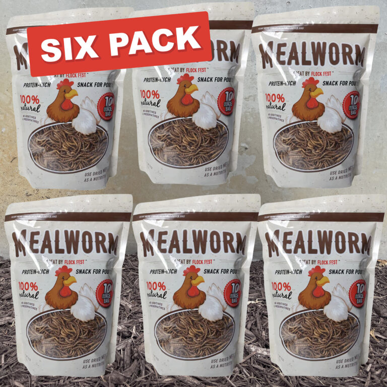 Dried Mealworms 6 pack