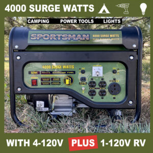 4000 Surge Watt Dual Fuel Generator with Cover and Wheel/Handle Kit